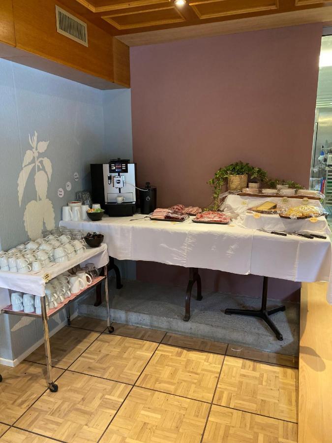 Hotel Alpina Einhorn - Self-Check-In Wolfenschiessen Buitenkant foto